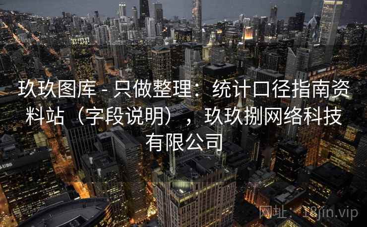 玖玖图库 - 只做整理：统计口径指南资料站（字段说明），玖玖捌网络科技有限公司  第2张